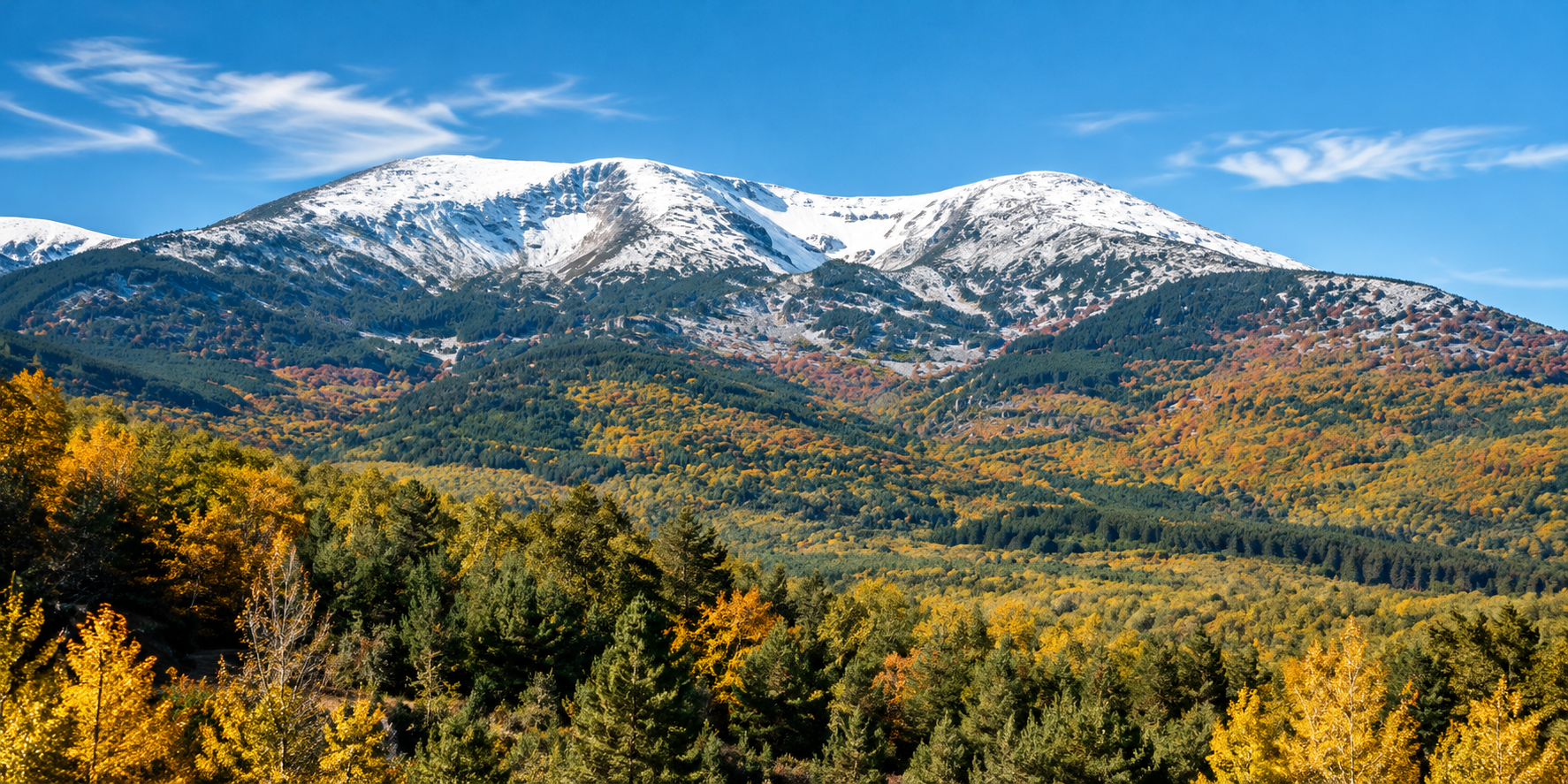 Panorámica de montañas nevadas y bosques otoñales